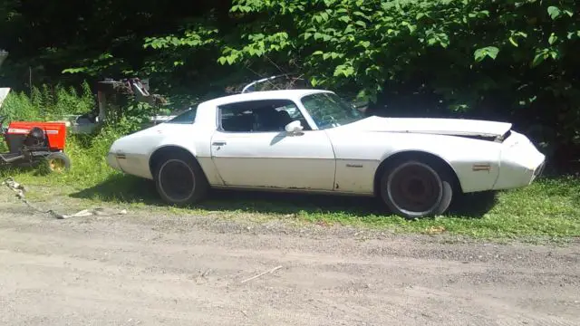 1981 Pontiac Firebird