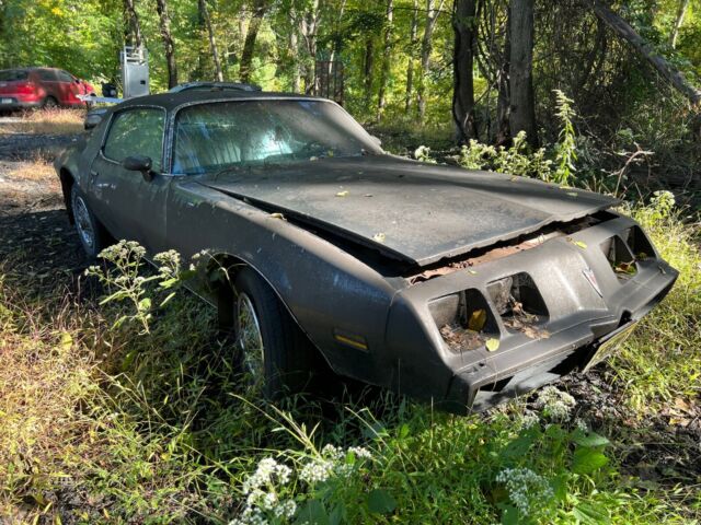 1981 Pontiac Firebird