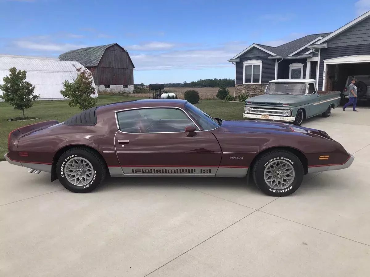 1981 Pontiac Firebird FORMULA