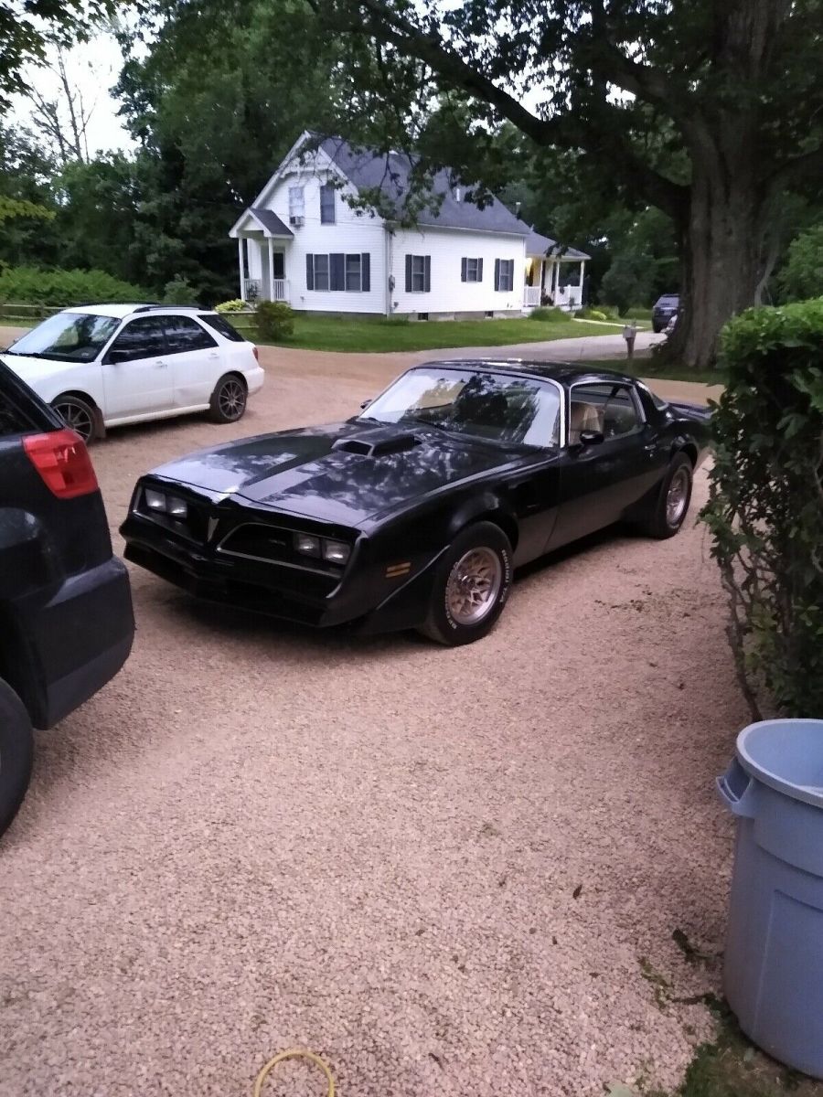 1981 Pontiac Firebird TRANS AM