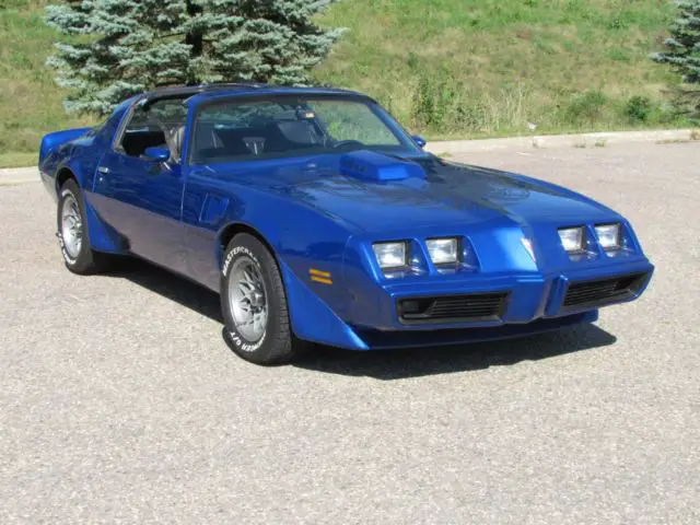 1981 Pontiac Firebird