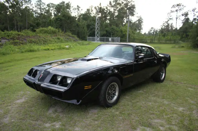 1981 Pontiac Firebird Trans Am Coupe Must See Call Now Don't Miss It