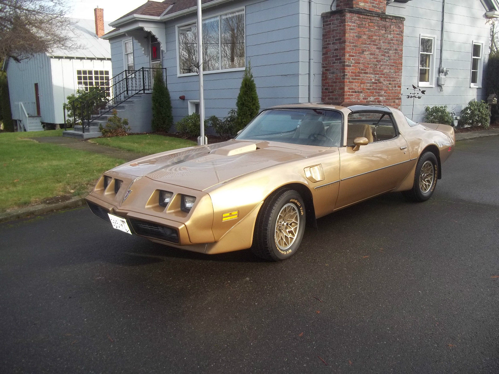 1981 Pontiac Firebird Trans Am