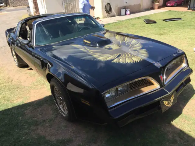 1981 Pontiac Firebird