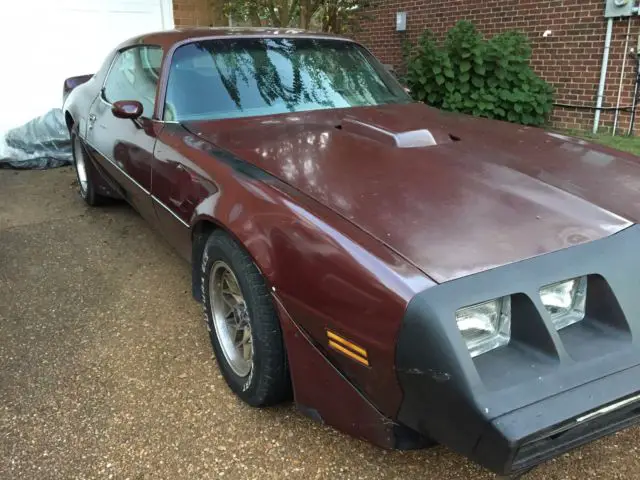 1981 Pontiac Firebird Trans Am