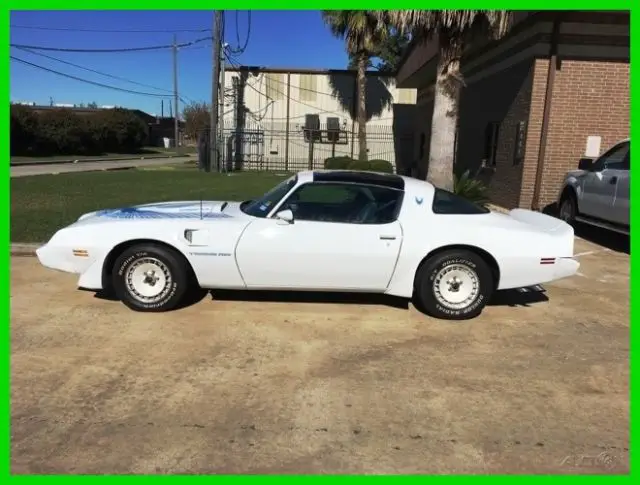 1981 Pontiac Firebird Trans Am