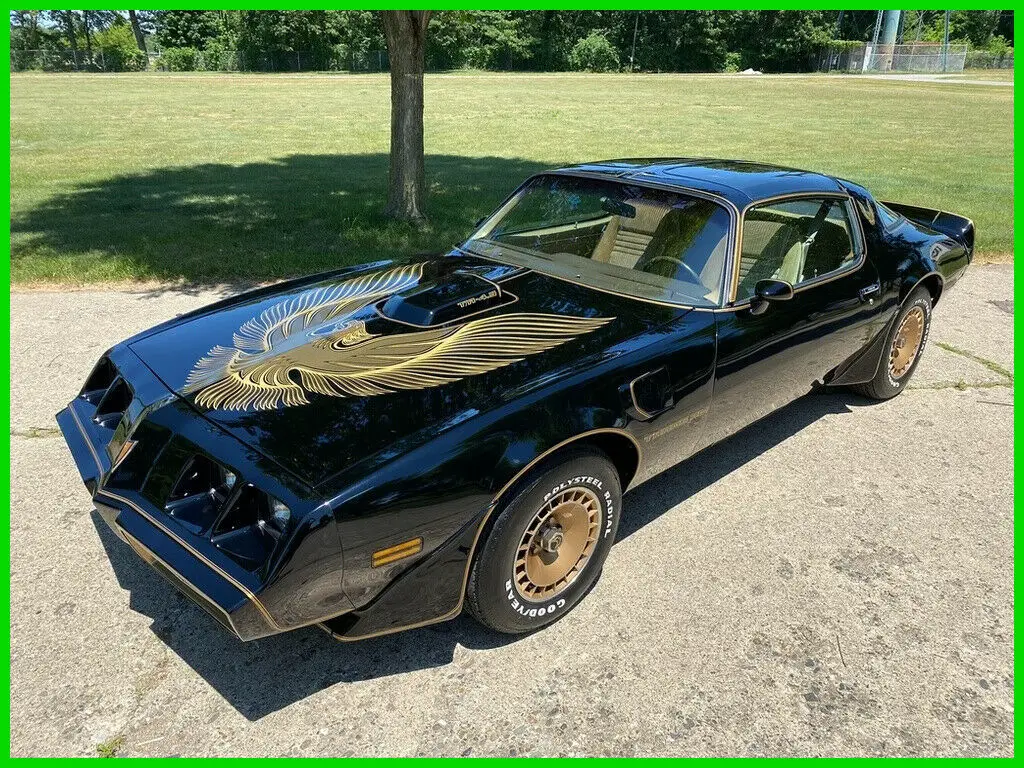 1981 Pontiac Trans Am Firebird Trans Am Y84 Special Edition