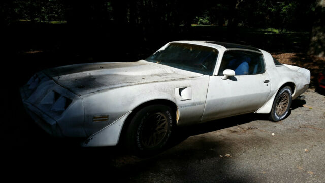 1981 Pontiac Firebird