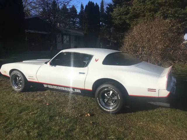 1981 Pontiac Firebird