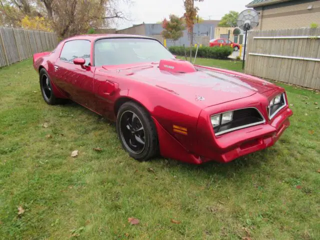 1981 Pontiac Trans Am Trans am