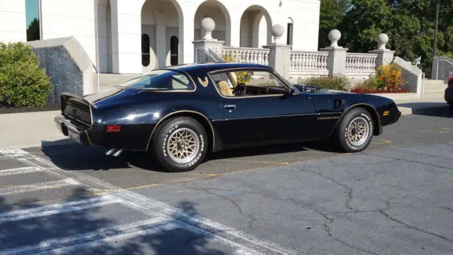 19810000 Pontiac Trans Am