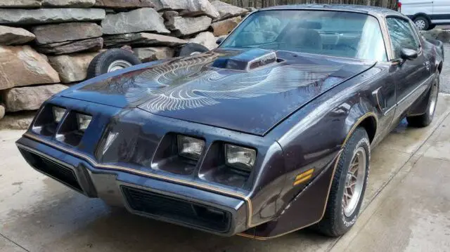 1981 Pontiac Trans Am