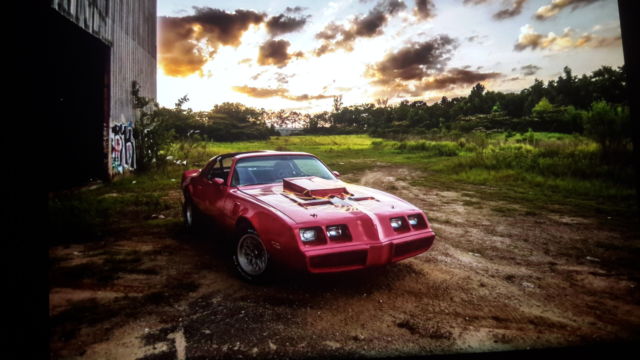 1981 Pontiac Trans Am