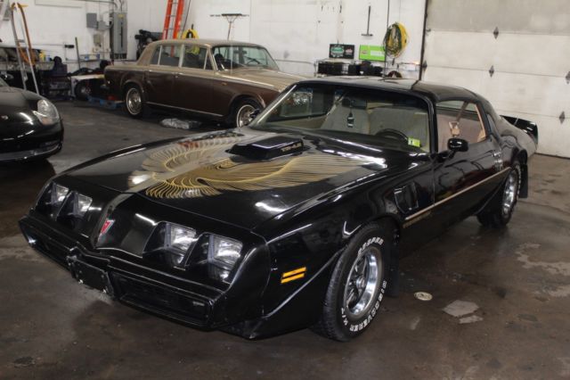 1981 Pontiac Trans Am TRANS AM