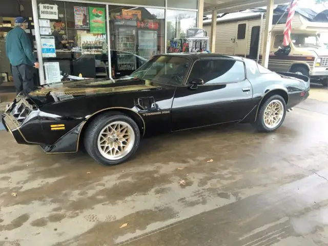 1981 Pontiac Trans Am BANDIT