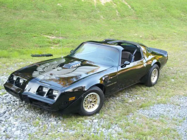 1981 Pontiac Trans Am