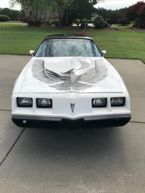 1981 Pontiac Trans Am