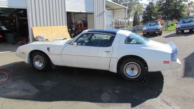 1981 Pontiac Trans Am Trans Am