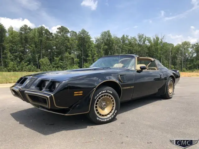 1981 Pontiac Firebird