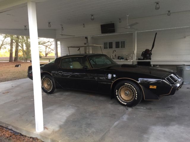 1981 Pontiac Trans Am SE