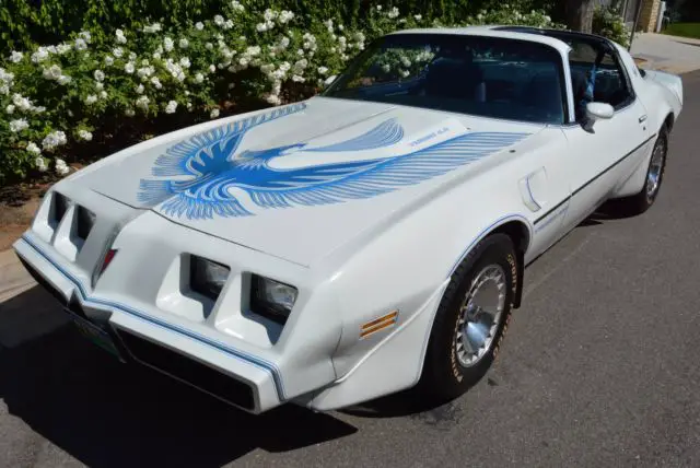 1981 Pontiac Trans Am