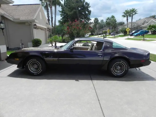 1981 Pontiac Firebird Trans-Am