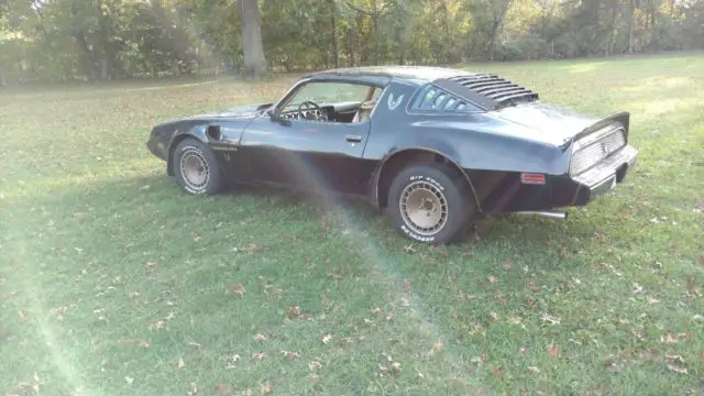 1981 Pontiac Firebird