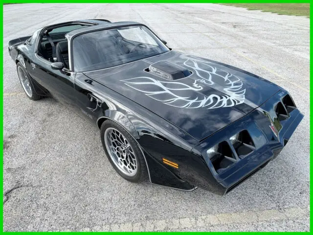 1981 Pontiac Firebird Pontiac Trans AM Custom Y84, WS6, NO RESERVE AUCTION