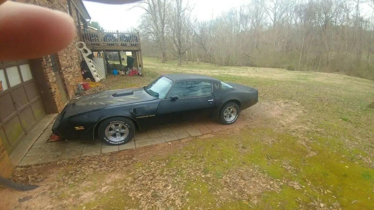 1981 Pontiac Firebird TRANS AM