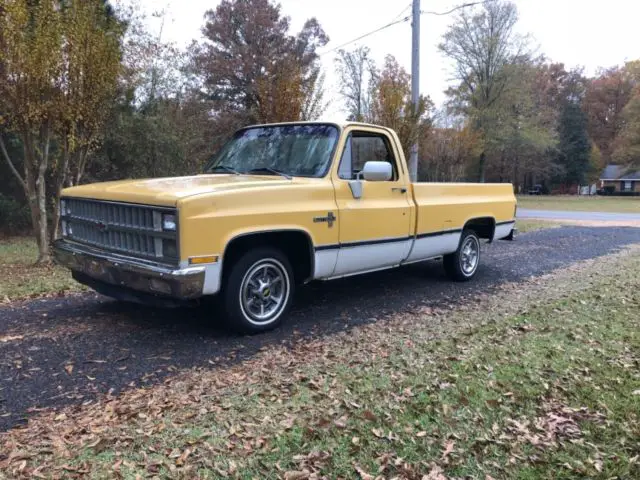 1981 Chevrolet C-10 Bonanza