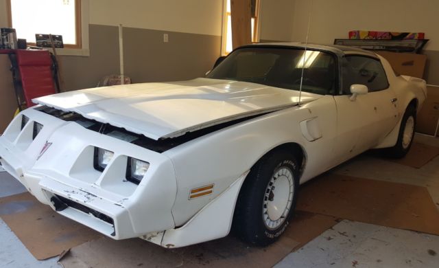 1981 Pontiac Trans Am