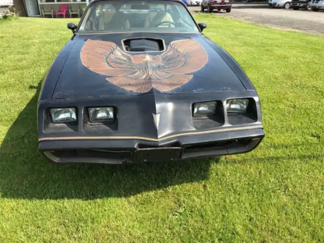 1981 Pontiac Trans Am