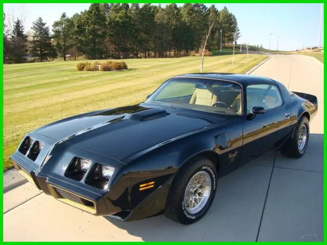 1981 Pontiac Firebird Trans Am Bandit Edition #24