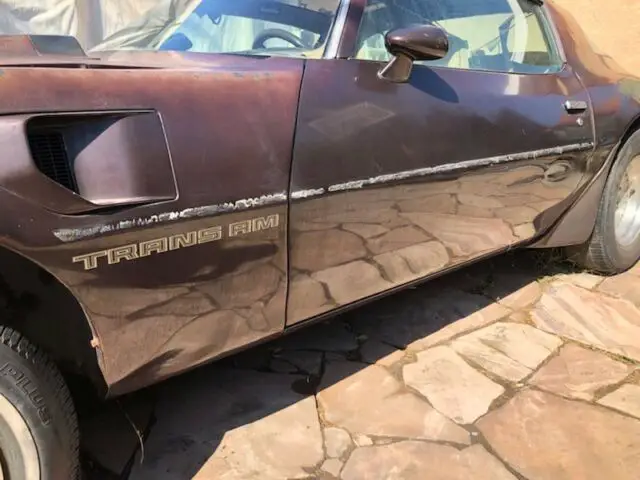 1981 Pontiac Trans Am Tan-cloth