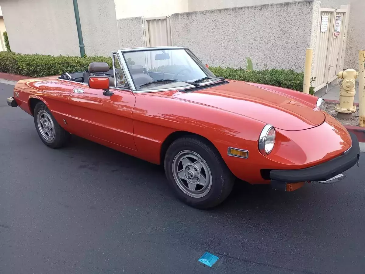 1982 Alfa Romeo Spider