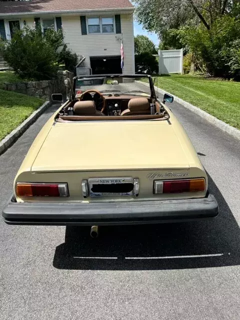 1982 Alfa Romeo Spider