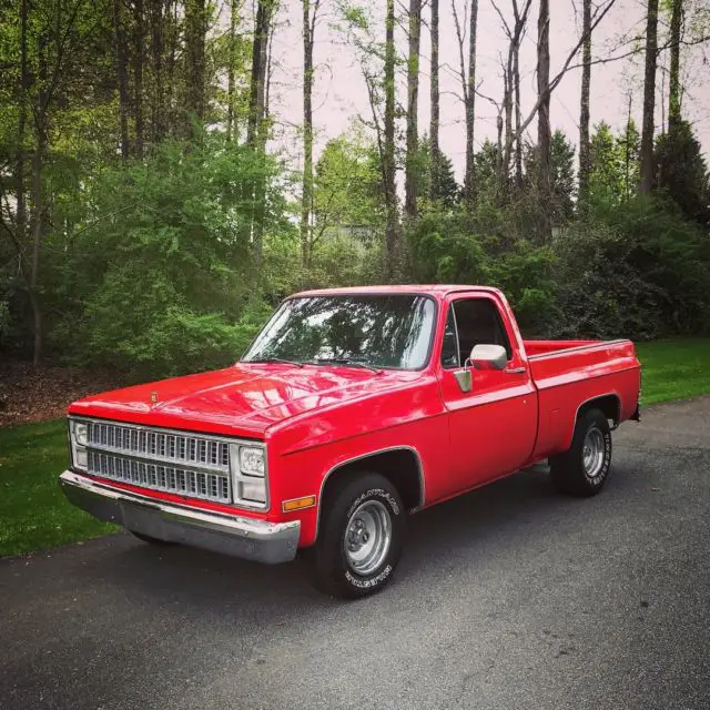 1982 Chevrolet C-10