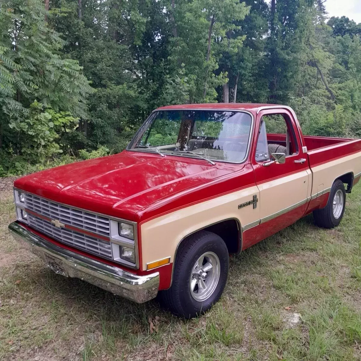 1982 Chevrolet C-10