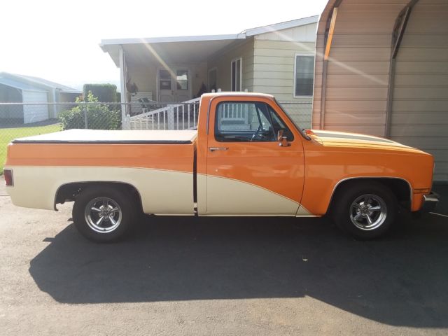 1982 Chevrolet C/K Pickup 1500 Custom