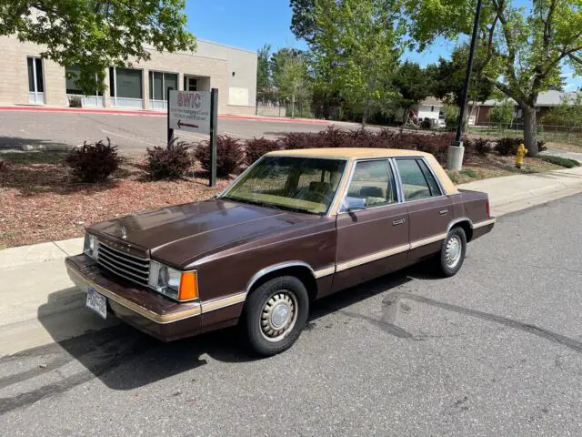 1982 Dodge Aries CUSTOM