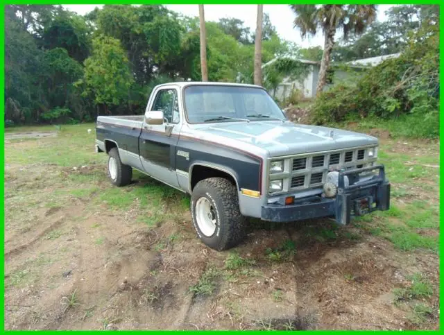 1980 Chevrolet C/K Pickup 1500