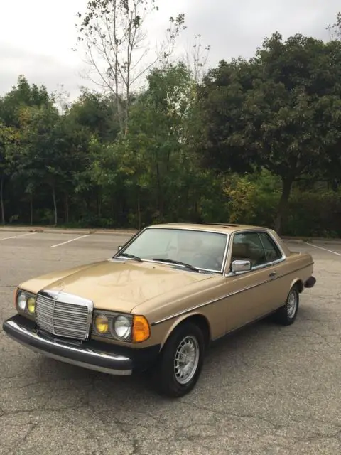 1982 Mercedes-Benz 300-Series