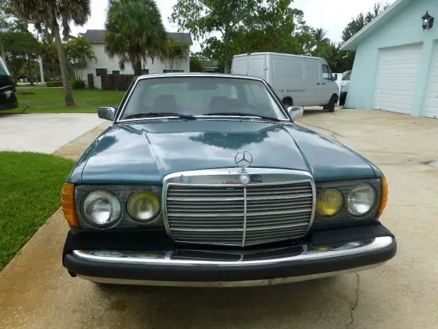 1982 Mercedes-Benz 300-Series Chrome