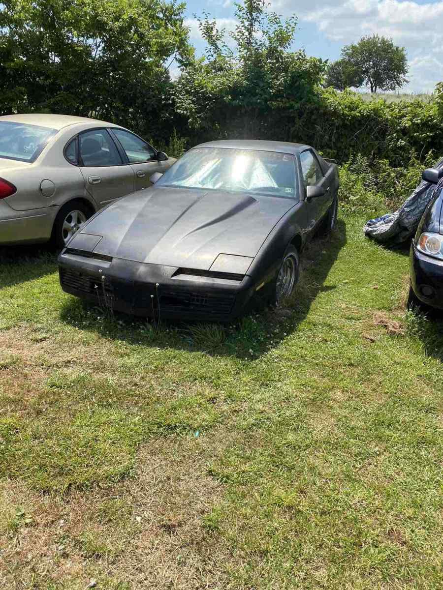 1982 Pontiac Firebird TRANS AM