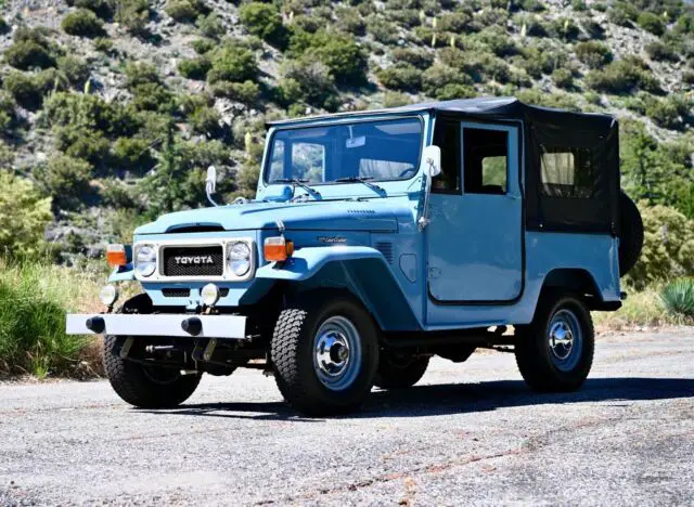 1982 Toyota FJ Cruiser