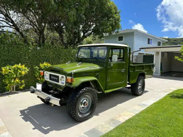 1980 Toyota FJ Cruiser