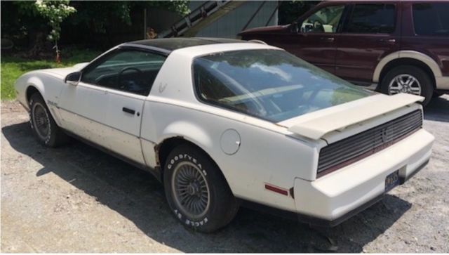 1982 Pontiac Trans Am Trans AM