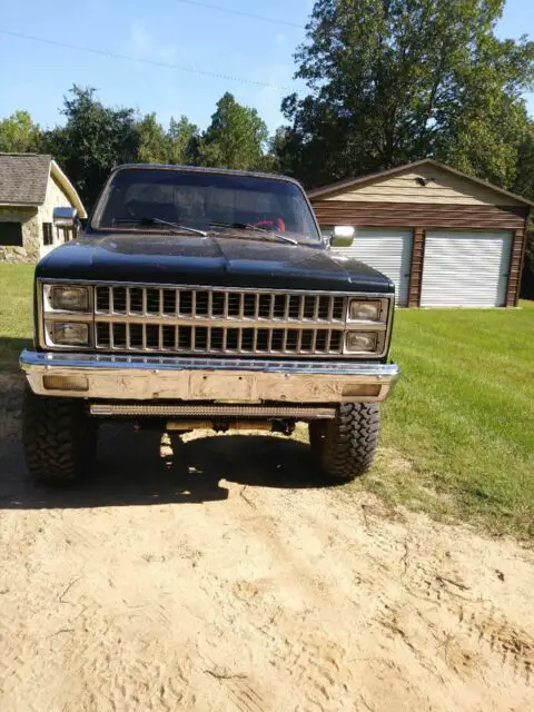 1980 Chevrolet C/K Pickup 2500