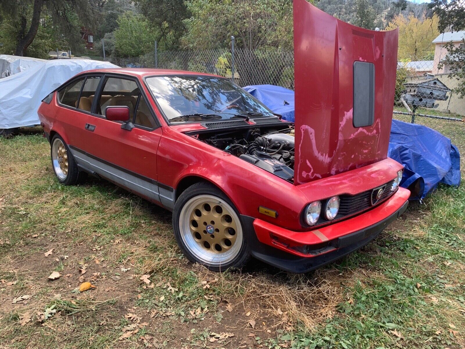 1983 Alfa Romeo GTV-6 V6 2.5