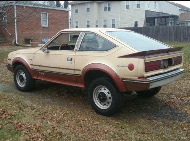 1983 AMC Other